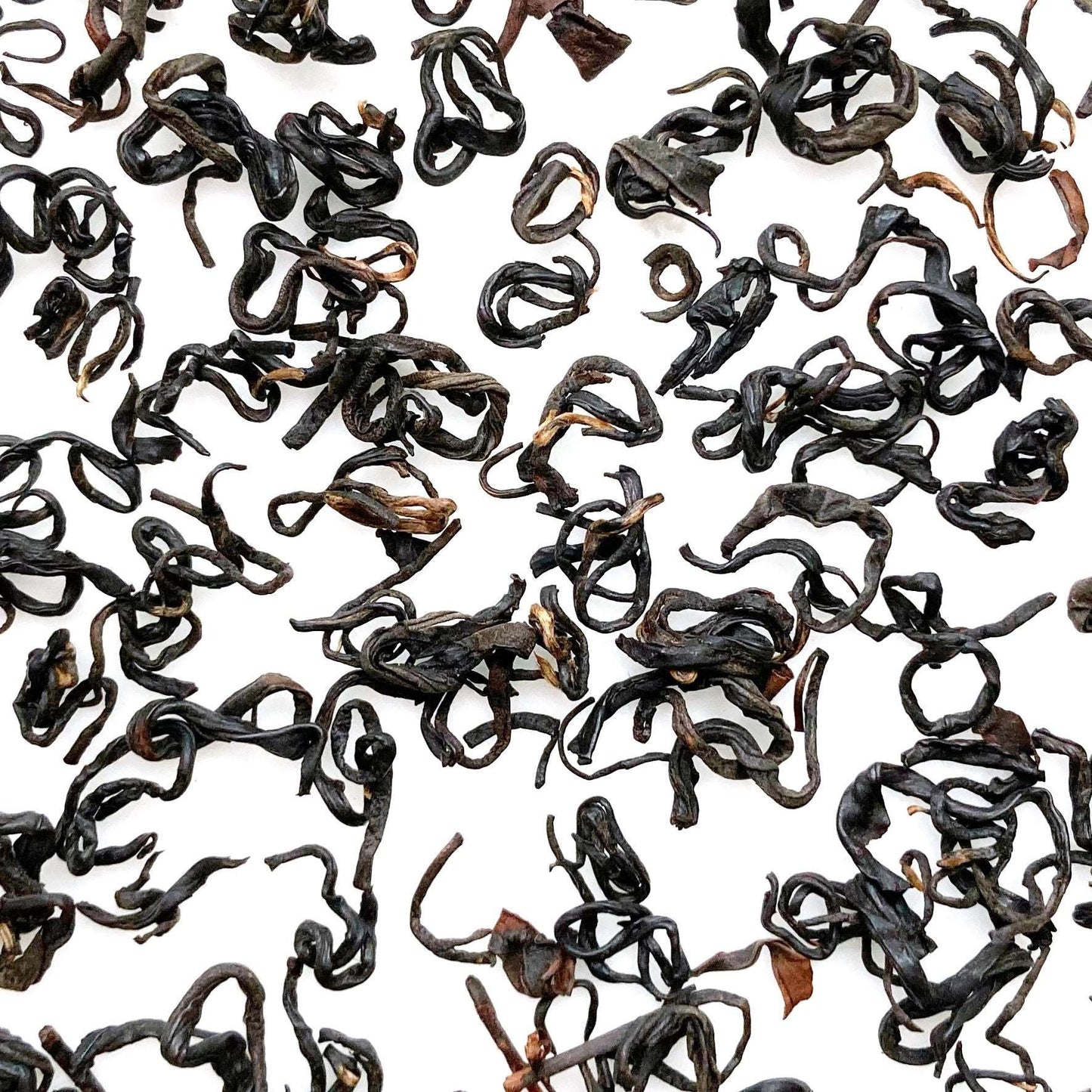 祁門紅茶茶葉捲曲如螺,烏潤油亮,綴有金黃的芽尖 | Keemun Black Tea features tightly rolled tea leaves resembling spirals, with a glossy, dark appearance and golden tips