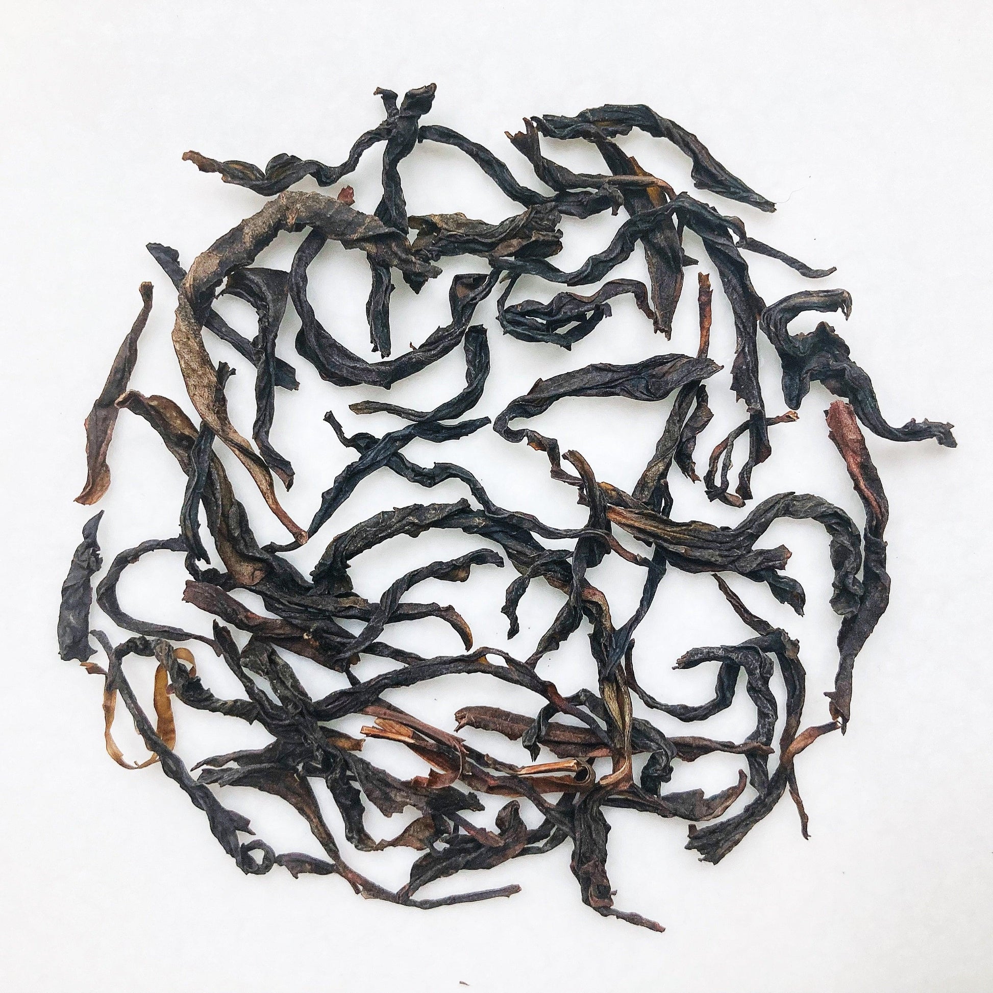 鴨屎香單叢茶葉粗壯厚實，呈卷曲長條狀 | Duck Shit Dan Cong Tea Loose Leaves are robust and sturdy, tightly curled with a long and rolled shape