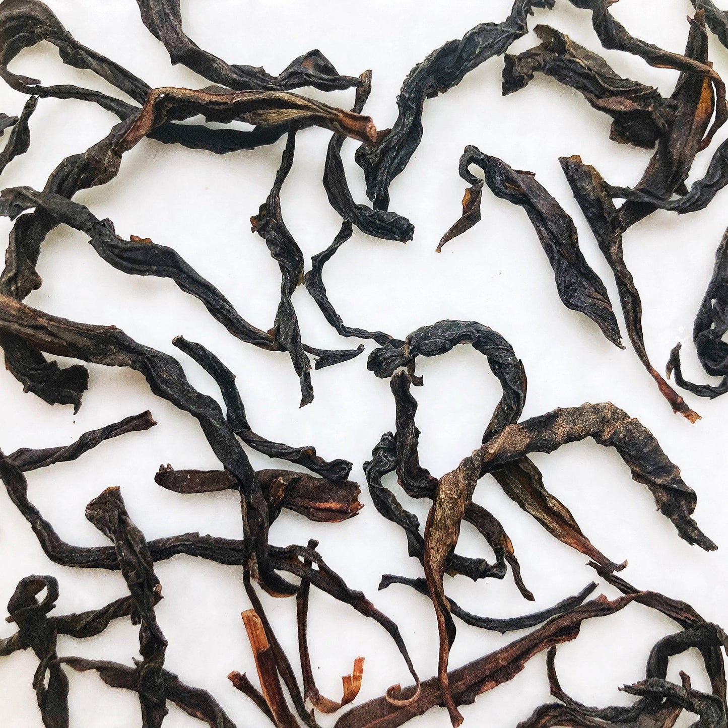 鴨屎香單叢茶葉粗壯厚實，呈卷曲長條狀 | Duck Shit Dan Cong Tea Loose Leaves are robust and sturdy, tightly curled with a long and rolled shape