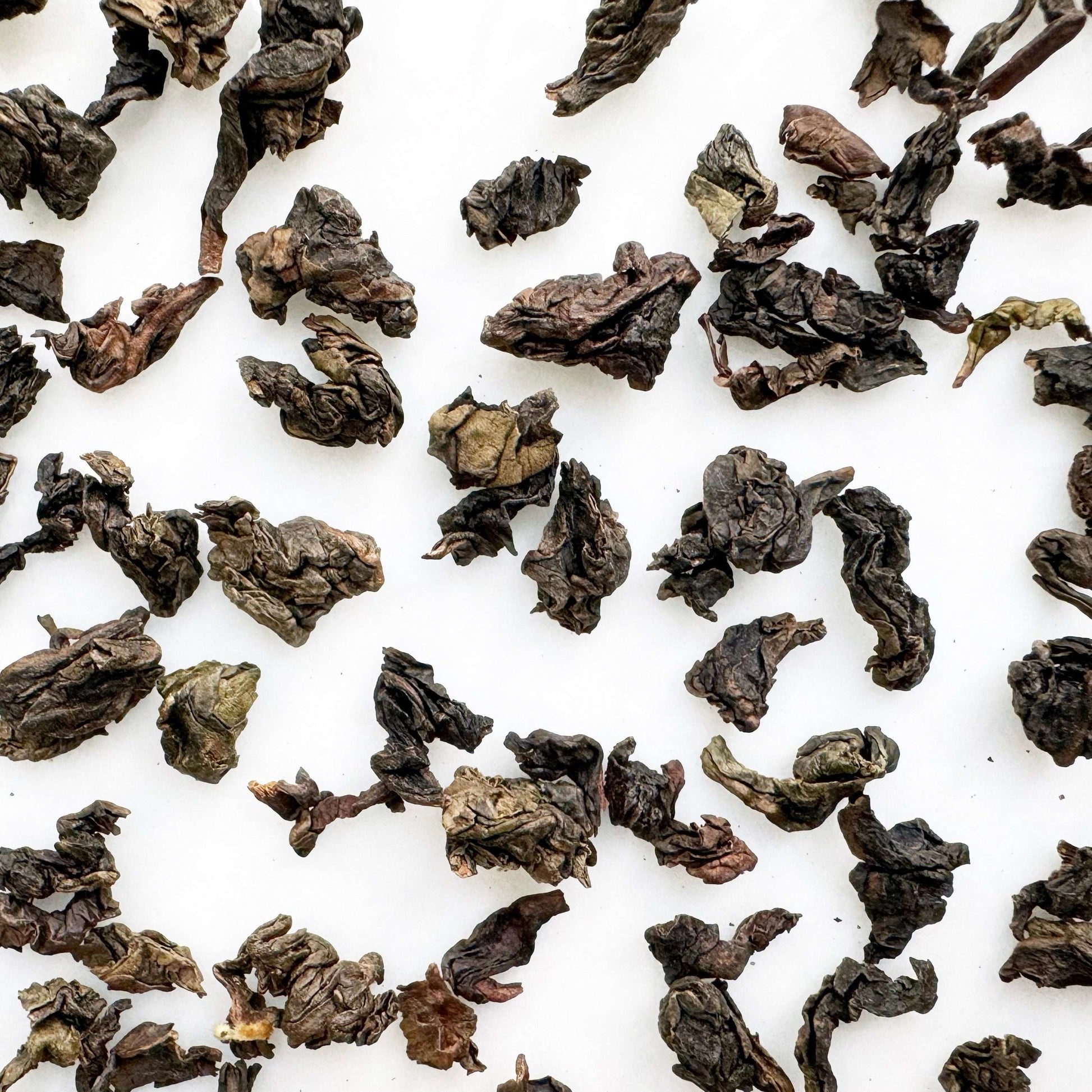 正品觀音茶王茶葉色澤烏潤，捲曲壯實 | Ti Kuan Yin Oolong Tea loose leaves have a dark, glossy appearance and are tightly curled