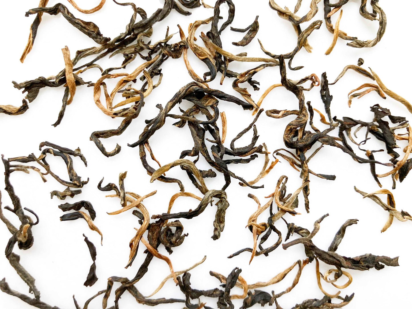 英德紅茶茶葉條索壯實 | Yingde Black Tea loose leaves are robust and sturdy